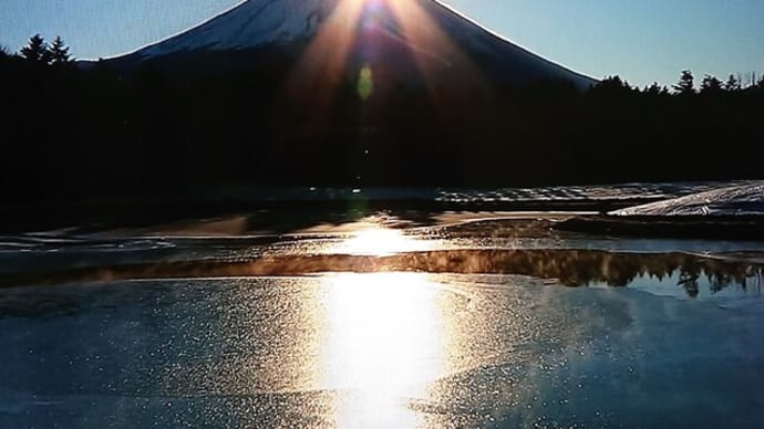 始動です (^.^)