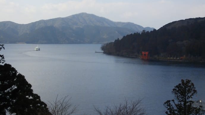 今日は自宅で