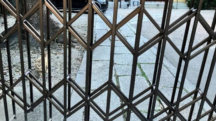 この画像のどこかに猫がいます 100