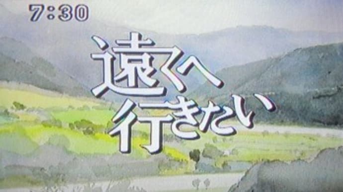 日曜日の朝は・・・テレビを見る