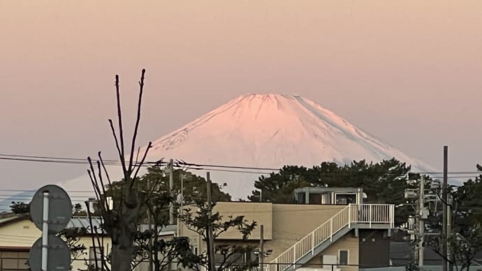 年甲斐もなく毎日多忙であります