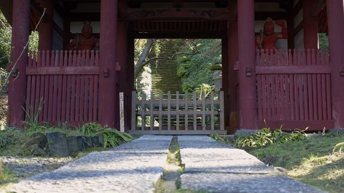 鎌倉　妙法寺（苔の寺）