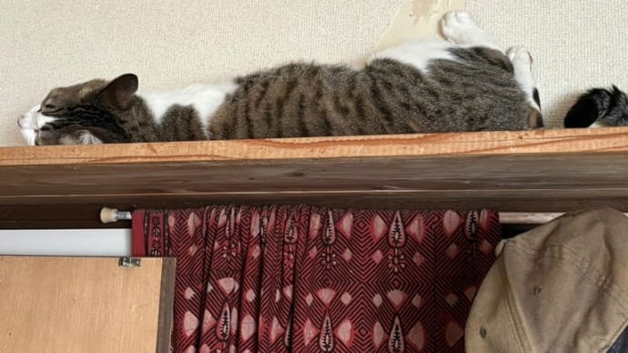 コテblog😹📴😹📴😹📴