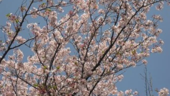 川までお散歩 ぎゅっとハグ