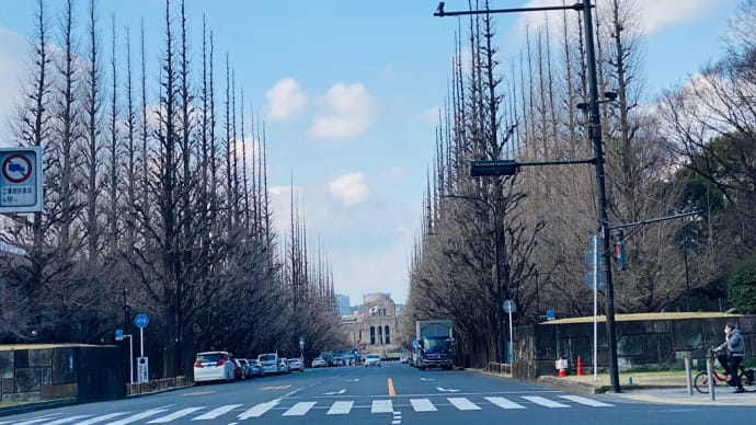東京散歩　🌸✨春✨🌸の青山通り