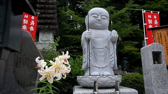 ★長興寺から釜井庵へ抜ける道すがら③ 2024