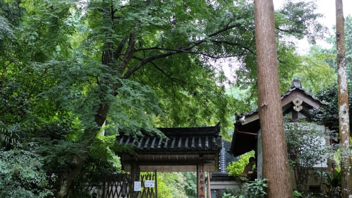 高雄山 岩船寺(京都府木津川市加茂町岩船上ノ門)