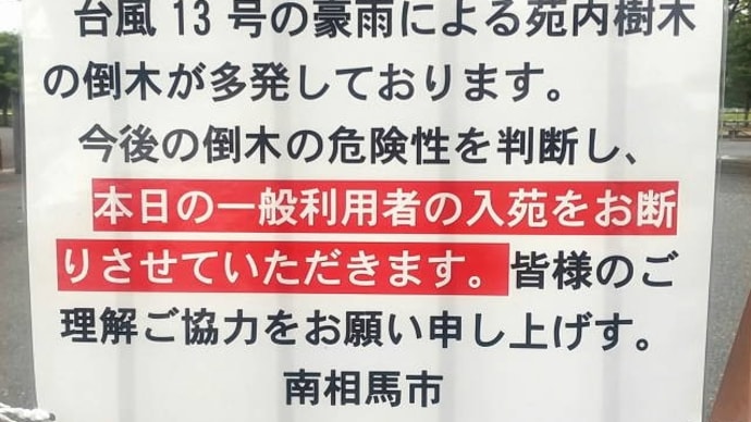 ペガサスカップ延期から都路へ