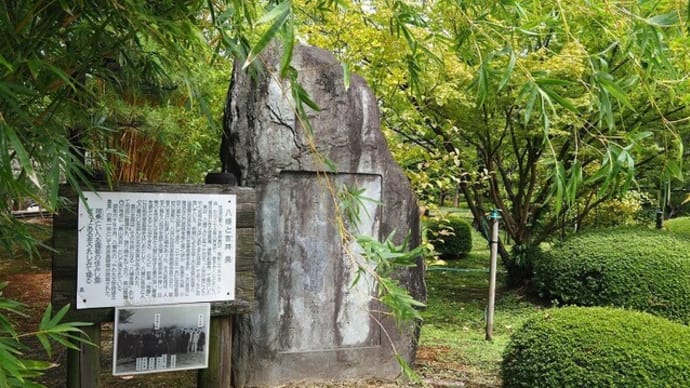 にしさんの花日記 京都府八幡市 松花堂庭園