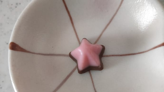 PTA役員決め、負けた…。