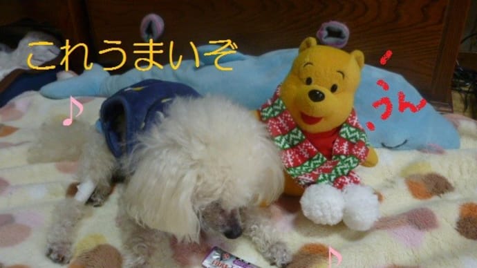 老犬ラスさん…『エネルギーちゅ～る』食べる！　w(ﾟoﾟ)w ｵｵｰ! 