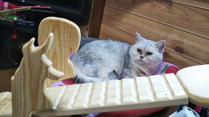 [DIY animal seesaw]  ペット用のシーソー（犬用、ねこ用）  How to make a seesaw for pets.(dogs cats)