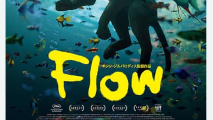 Flow