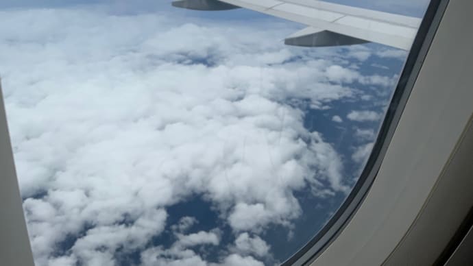 道案内は私におまかせ