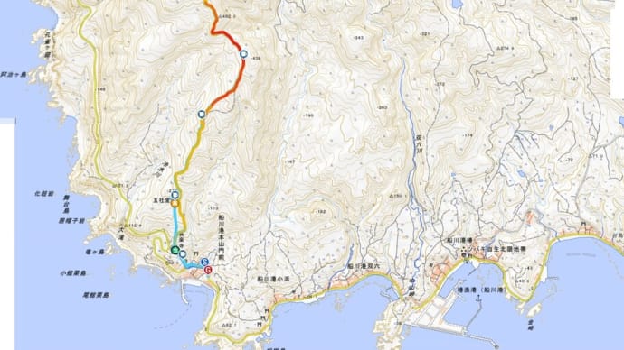 2024年4月初旬日本海花紀行(その6)毛無山、本山 ②
