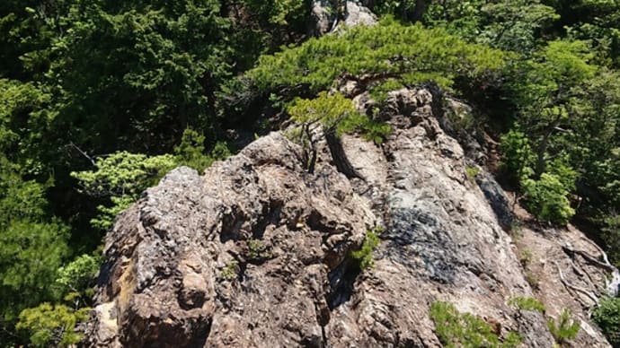 「堀リーダーと行く。金山谷~西タツガ岩~一徳坊山、プチ沢登りと岩稜歩きのプチバリエーションルート」ツアー参加者募集!!