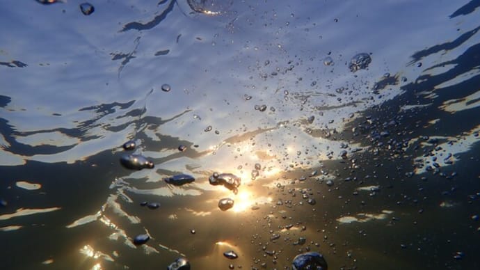 糸魚川に椰子が風にそよぐハワイの風景が！・・・筒石漁港