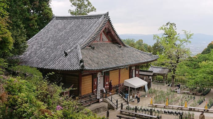不幸や不運が続く時に最強の厄除け寺をご紹介します!