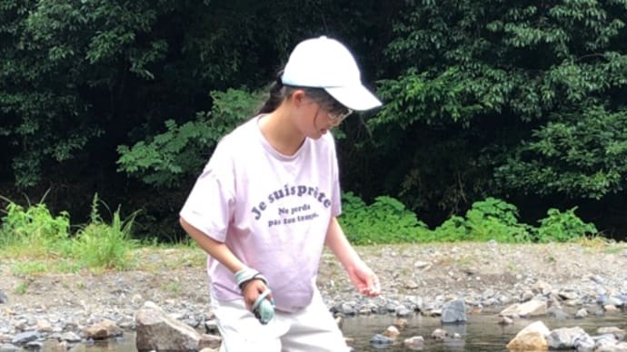 虫除け 日除け