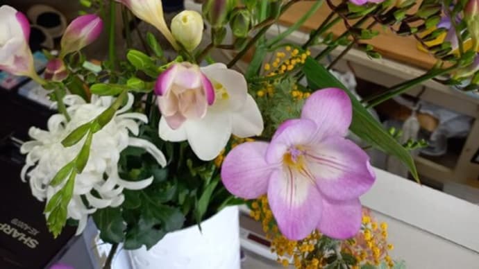 今日の切り花