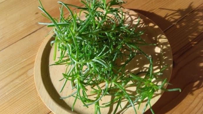 ジェットおかひぢき 空とぶおかひぢき