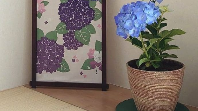 季節の手ぬぐい 6月