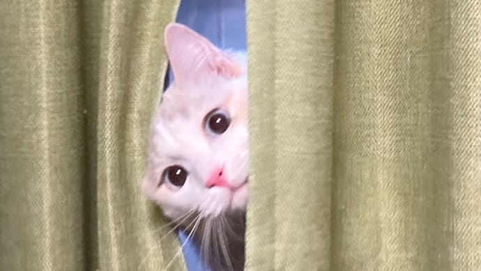 1歳になりました
