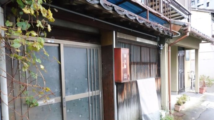 散歩写真 753