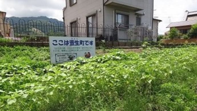 久しぶりに山の辺の道3