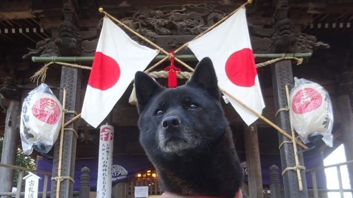 新年のお天気中継