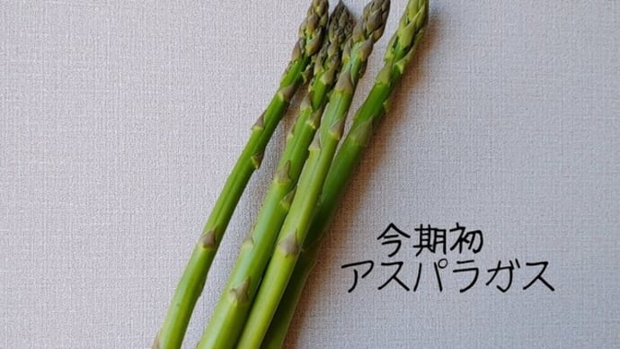 今シーズン初!アスパラガスの収穫