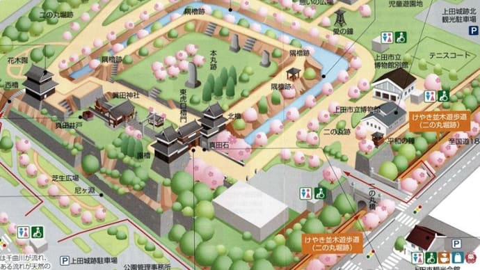 ほぼ満開の上田城跡公園の桜を観て、3年ぶりの送別会へ。