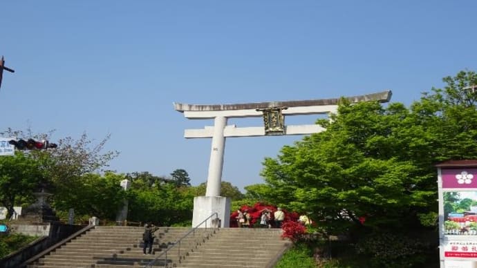 長岡天満宮・キリシマつつじ