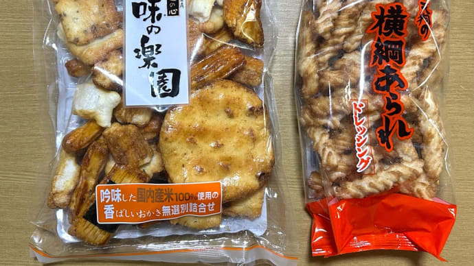 蒸し暑い京都の夏・・・減塩中だけど塩分が恋しい(o^^o)