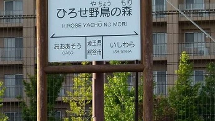 彩の国熊谷・・・秩鉄SL・・・パレオエクスプレス・・・ひろせ野鳥の森駅を行く