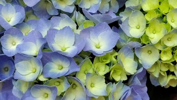 天地万緑のふるさとで母を偲ぶ!