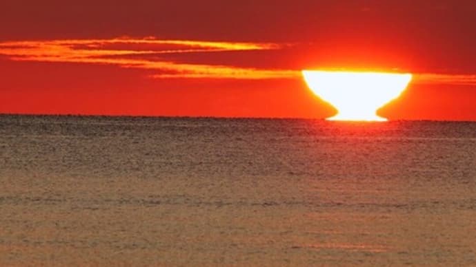 達磨太陽(朝陽) 2023年だるま朝日18号 7月31日