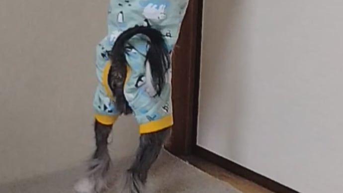 寒い日は