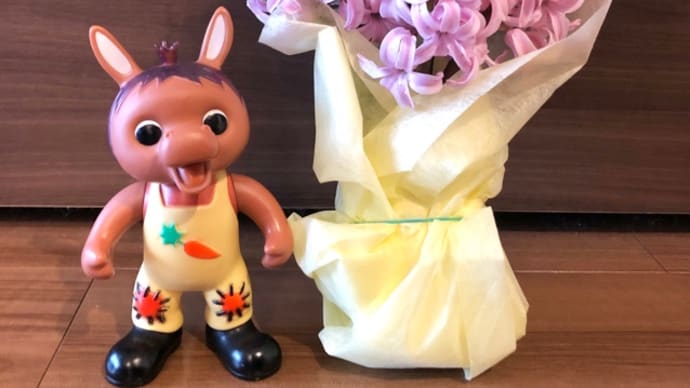 ロバくんとピンクのヒヤシンスの花束