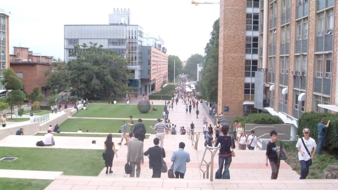 世界大学ランキング