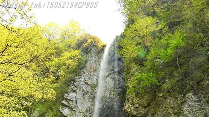 オオビラの滝 米子川北の沢