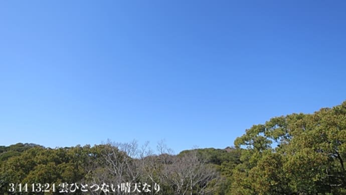 3/14 晴天にて…花粉をよそ目に 1
