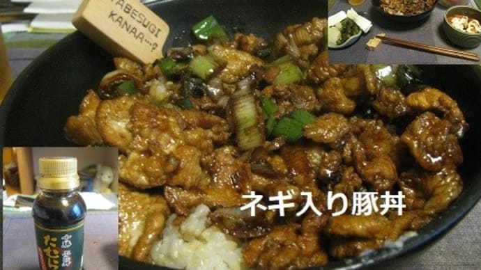 『 ネギ入り豚丼』