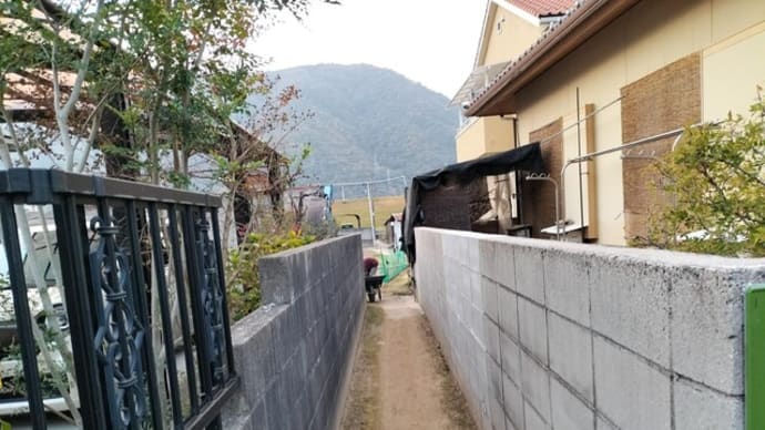 川端散歩
