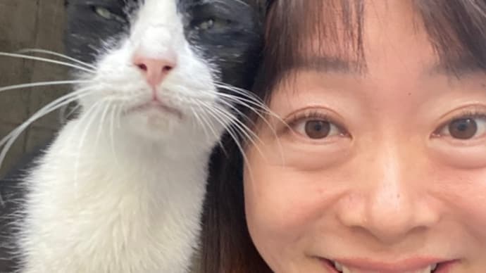 可愛いゴマシオ(猫)♡