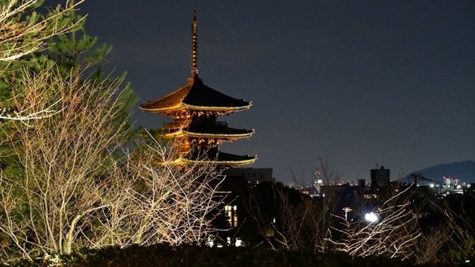 京都の夜景 高台寺から
