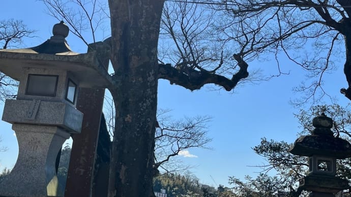 成田参道