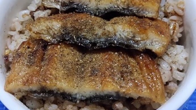 【06/06昼食】三重県産鰻蒲焼中部でミニ鰻丼、鱧穴子ときて〆は鰻でしゅ~りょ~なんだね:P