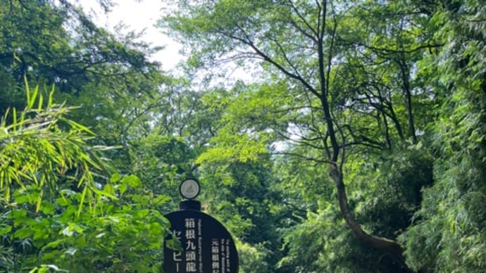 九頭龍神社 お散歩♪ 箱根〜