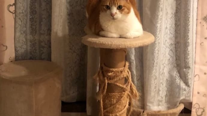 ただ れくがいい。